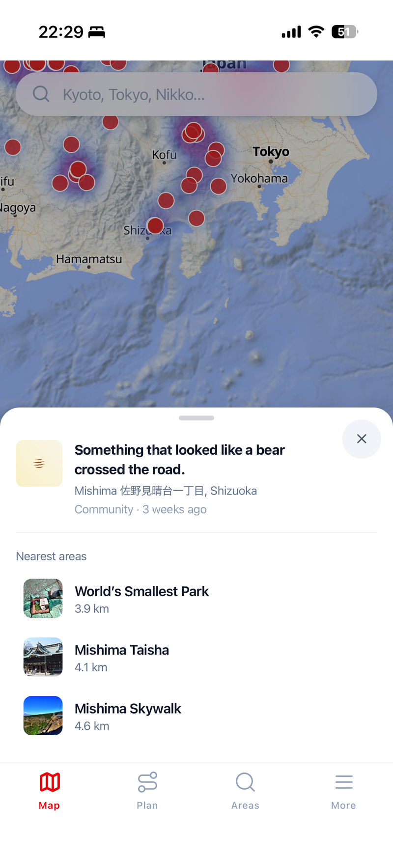 Detailed Sighting Reports