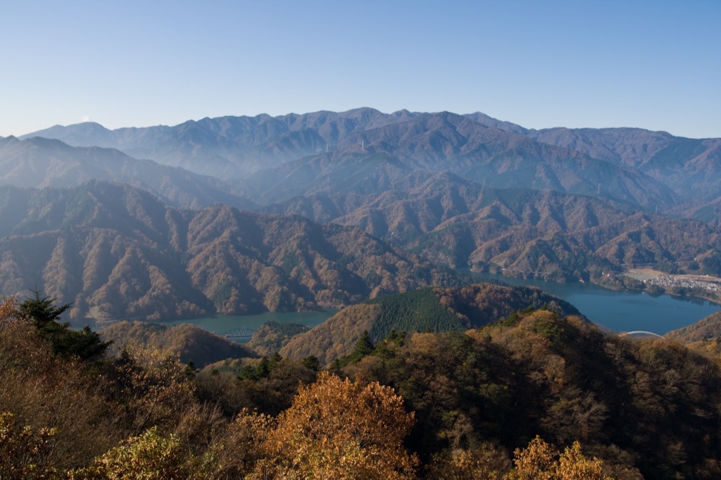 高尾山・奥多摩エリアの最新クマ情報を共有しましょう - スレッド画像 1