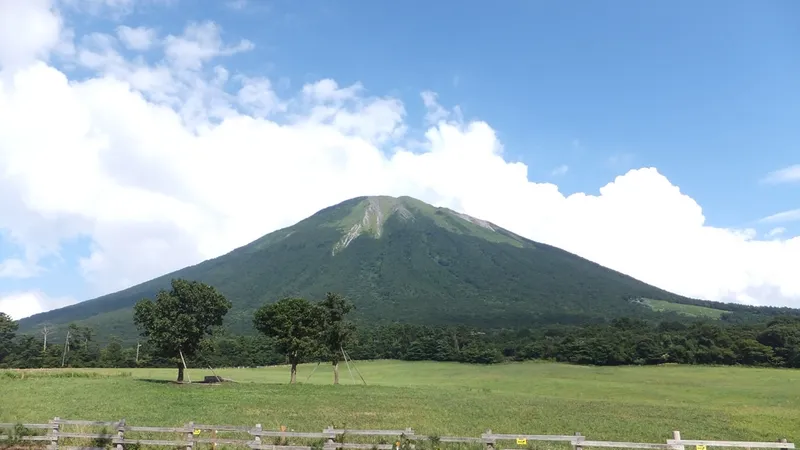 日本でクマに遭遇しにくい時期はいつ？ - 帖子图片 1