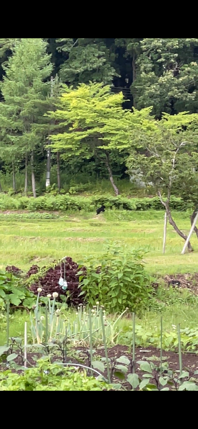 岩手県西和賀町 左草
