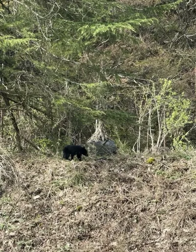 白馬村, 長野県