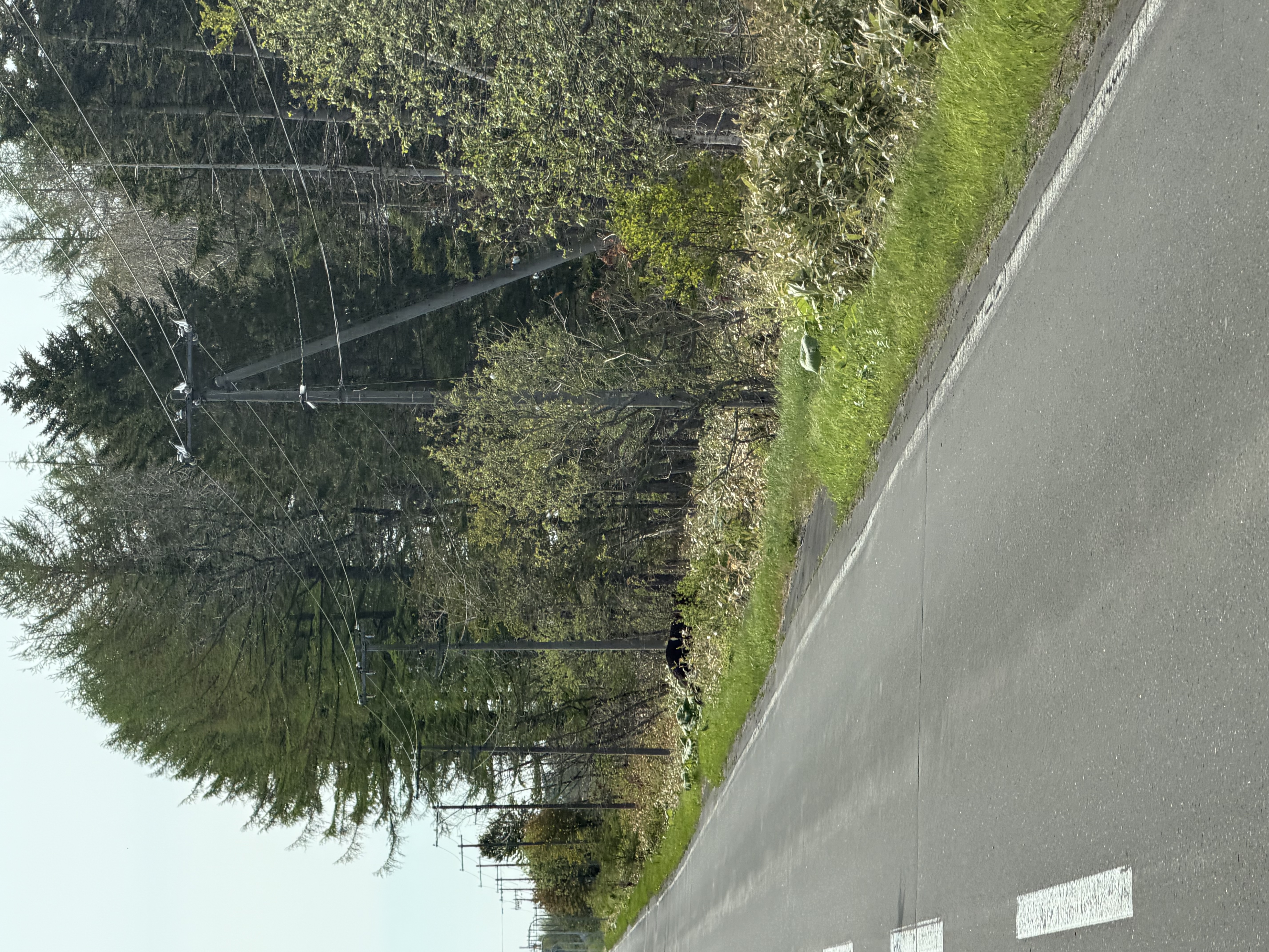 出没写真 1