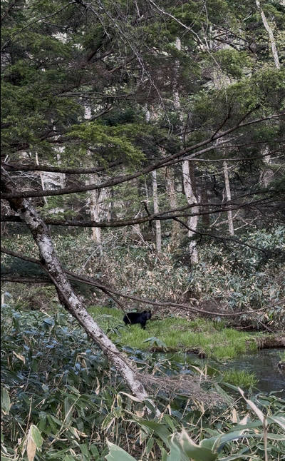 松本市, 長野県