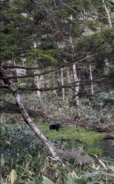 長野県松本市