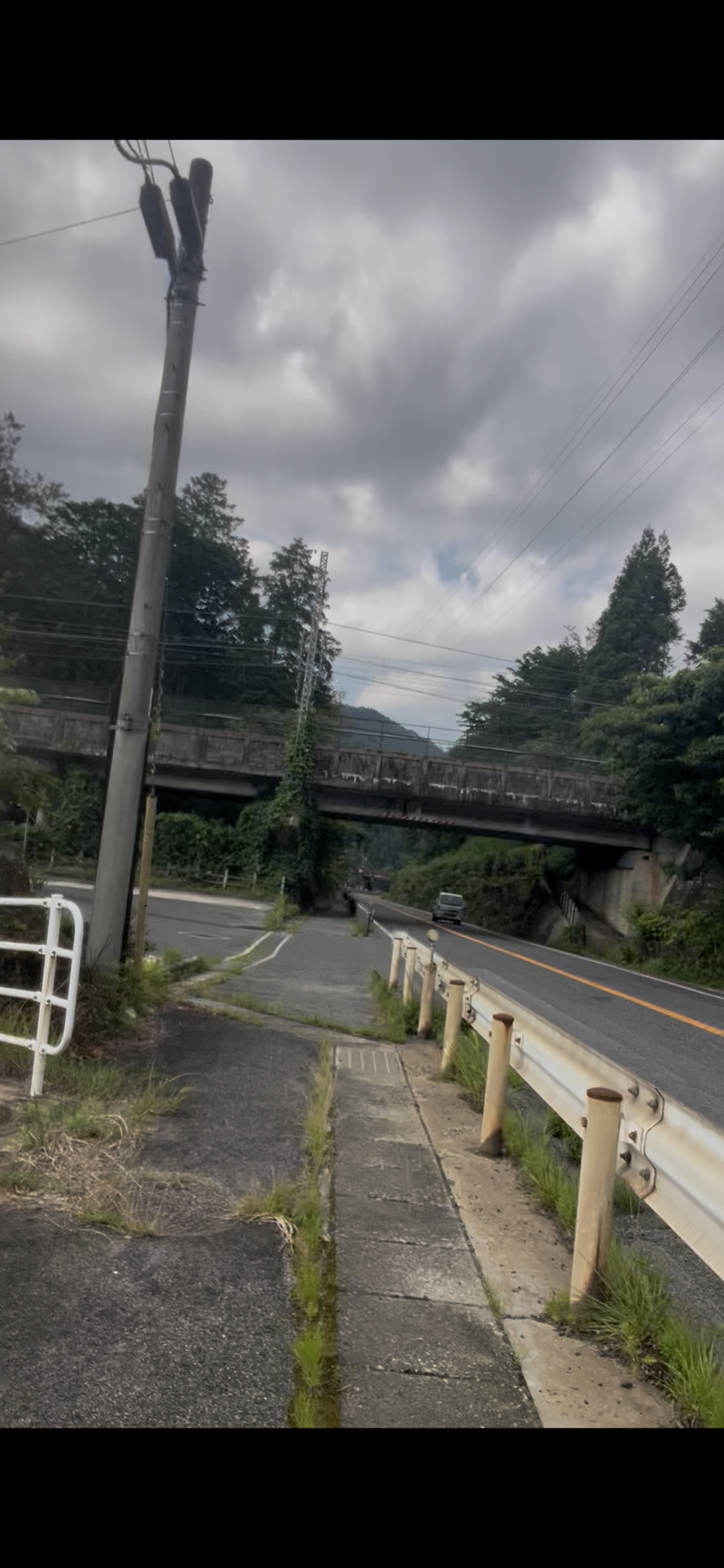 出没写真 1