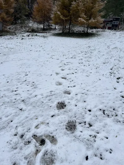 Yoichi 沢町, Hokkaido