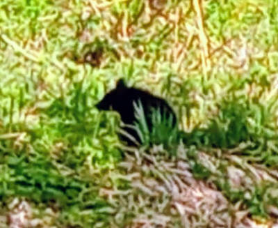 只見町 石伏, 福島県