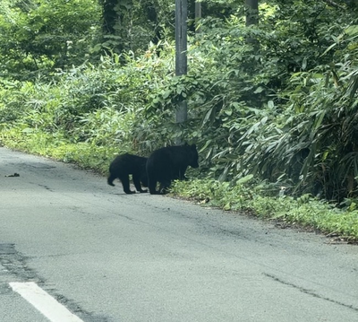 鹿角市, 秋田県