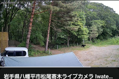 Incident photo 3