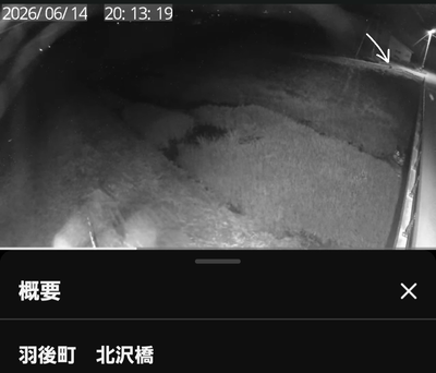 出没写真 1