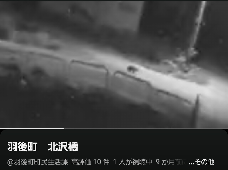 出没写真 2