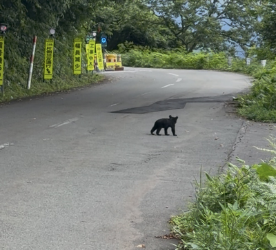 Senboku, Akita