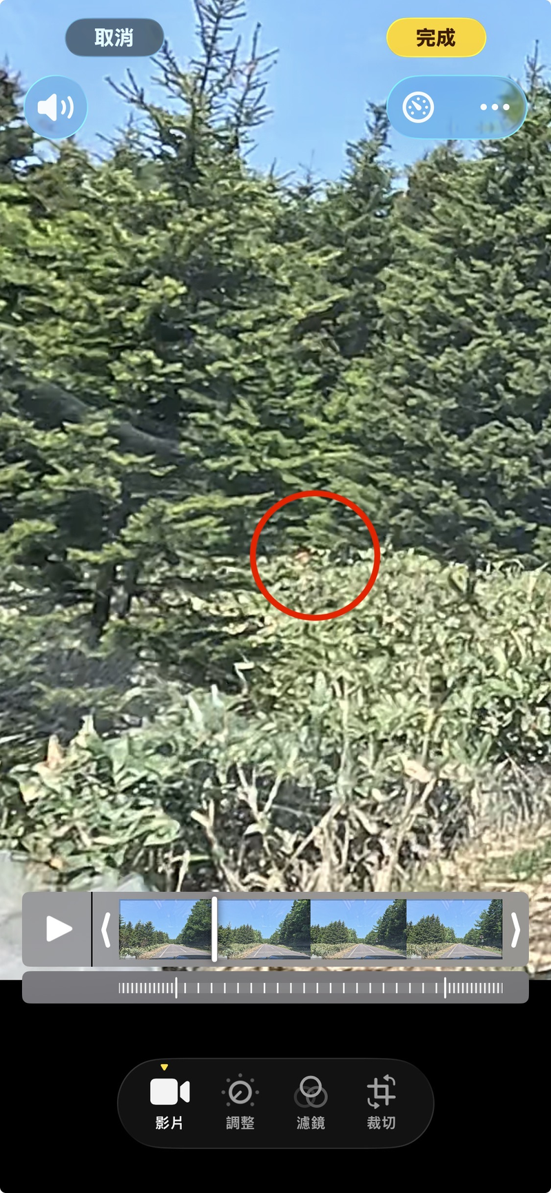 출몰 사진 1