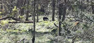 長野県松本市