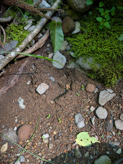 Gujo 明宝寒水, Gifu