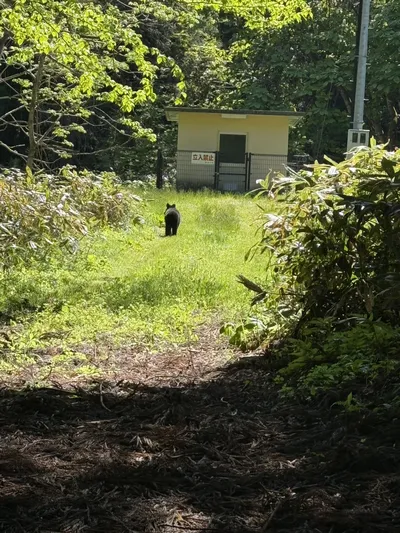 Inawashiro 字西峰, Fukushima