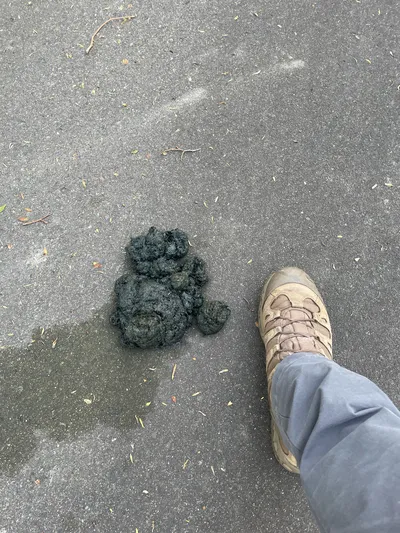 Incident photo 1