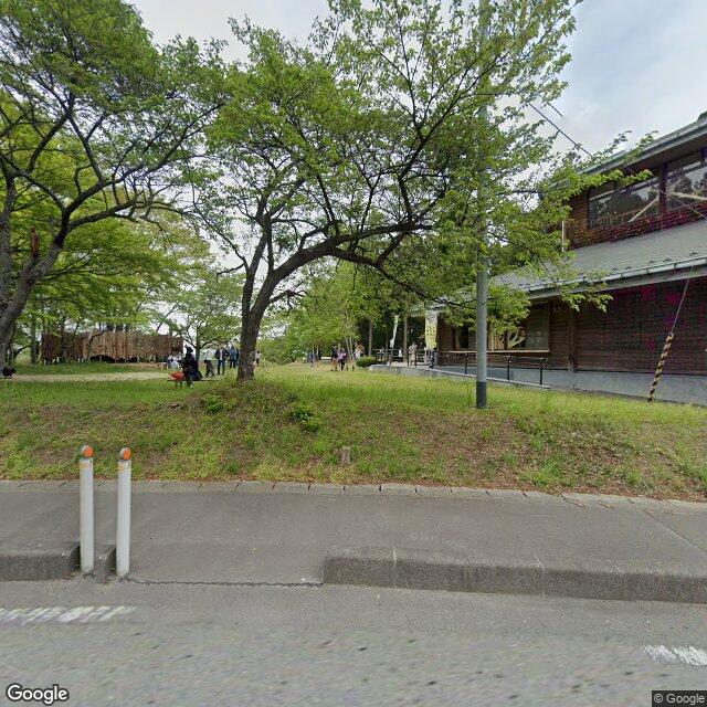 Tomiya 大亀, Miyagi