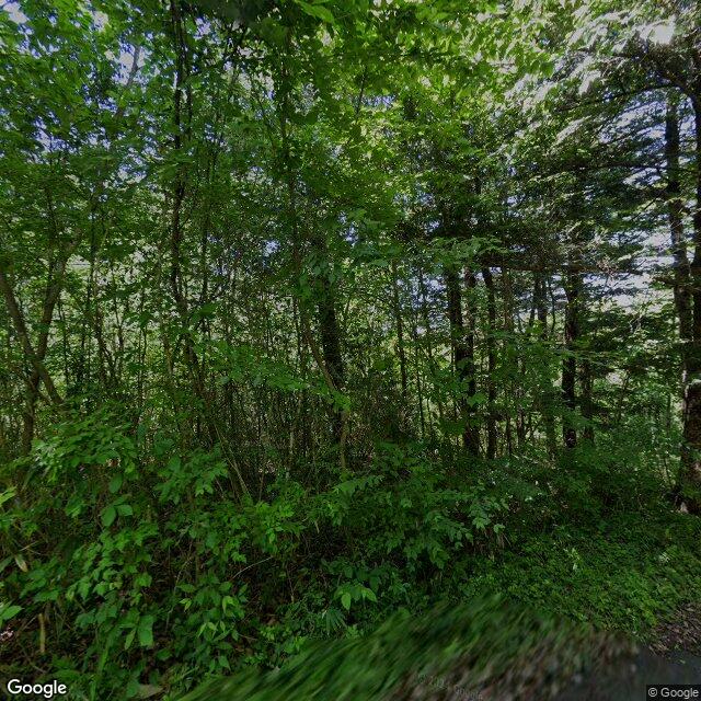 Chichibu Tamura, Saitama