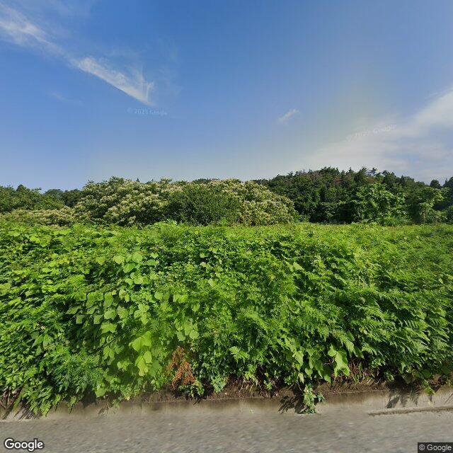 Tainai 下館, Niigata