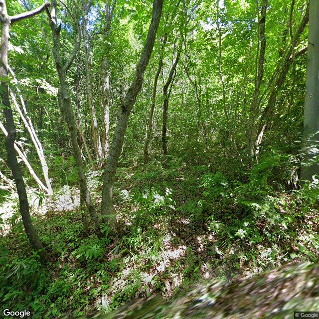 Chichibu Tamura, Saitama