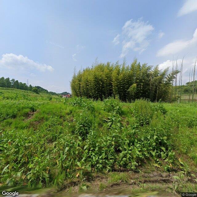 Miharu 大字斎藤, Fukushima