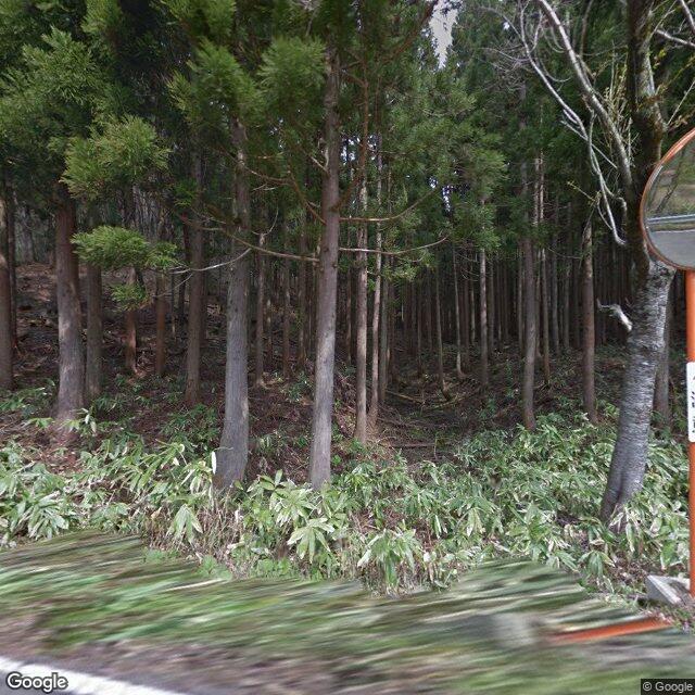 出没照片 1