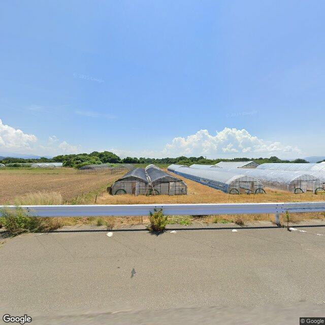Awara Yokogaki, Fukui