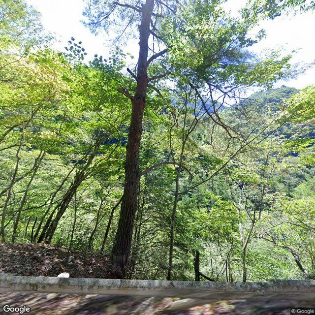 Yasuoka Shippeino, Nagano
