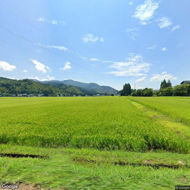 ภาพถ่ายการปรากฏตัว 1