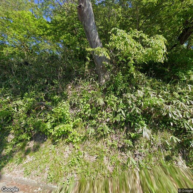 出没写真 1