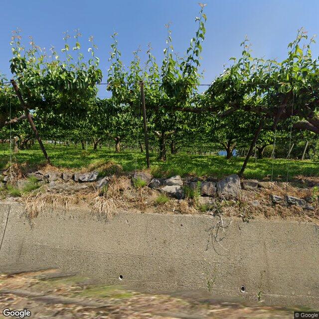 Fukushima Zainiwasaka, Fukushima