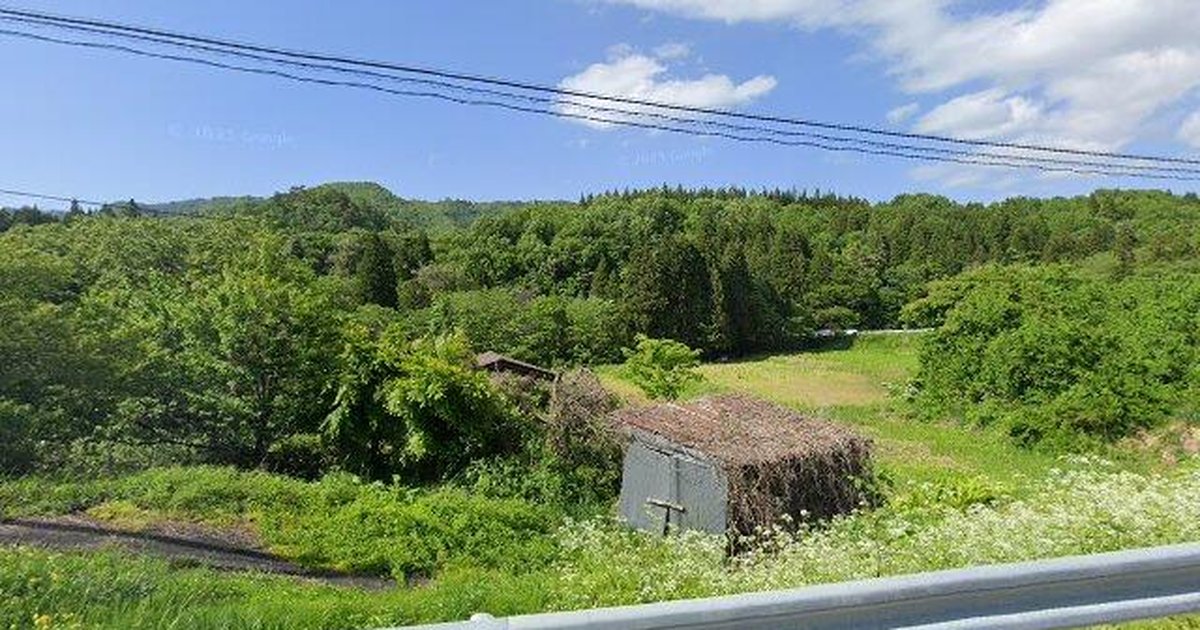 2023年 クマと森の風景 プレート Black Bear in Kaminoyama 上生居, Yamagata (Jun 29, 2026) #589C