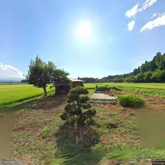 Shinjo Tobita, Yamagata