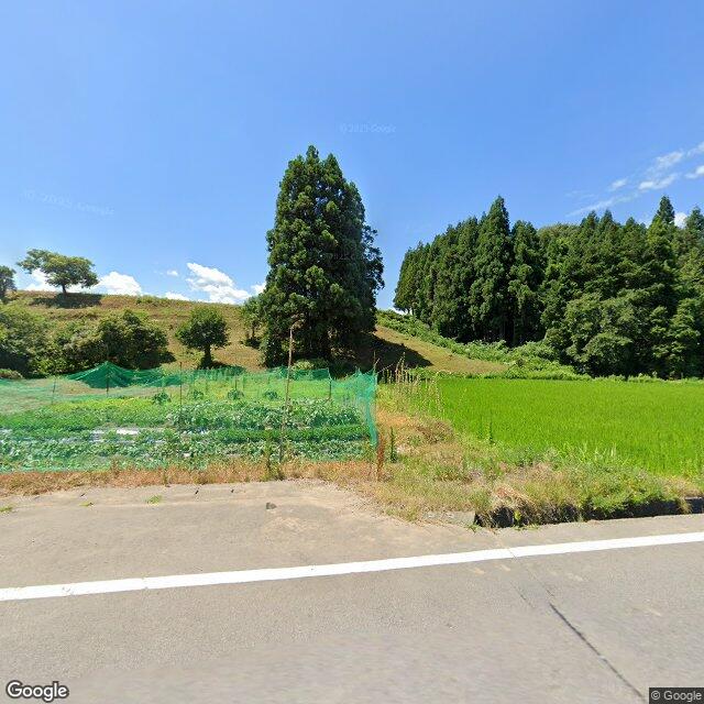蔵光, 新潟県