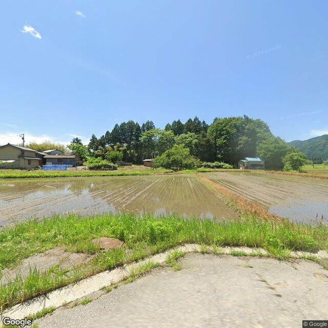 出没写真 1