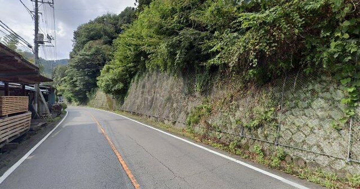 専用　ブラックベア　picture Black Bear in Shimonita Nakaosaka, Gunma (Jul 15, 2026) #19B4
