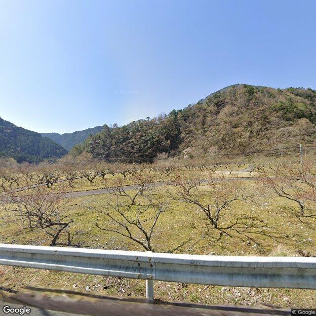 Shizuoka 梅ヶ島, Shizuoka