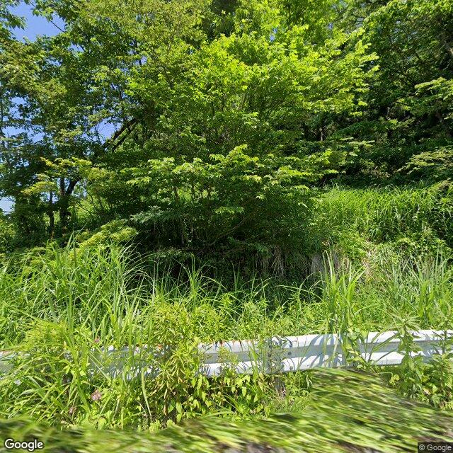 出没写真 1