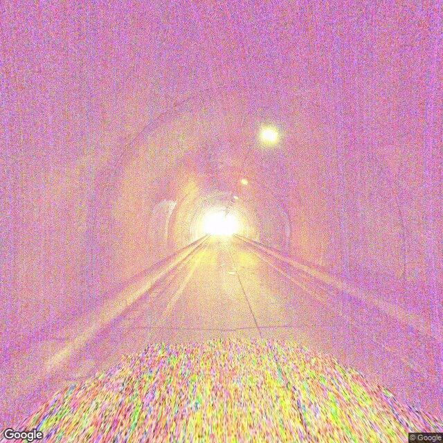 出没写真 1