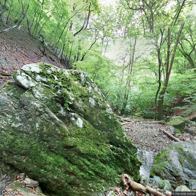 Ogano Ryokamisusuki, Saitama