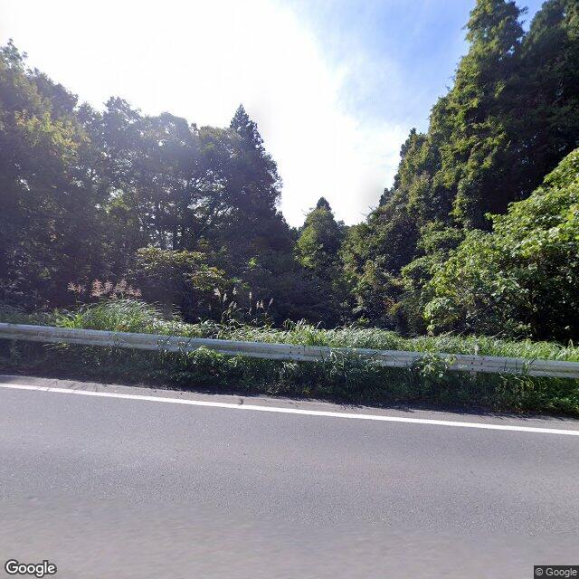 出没写真 1