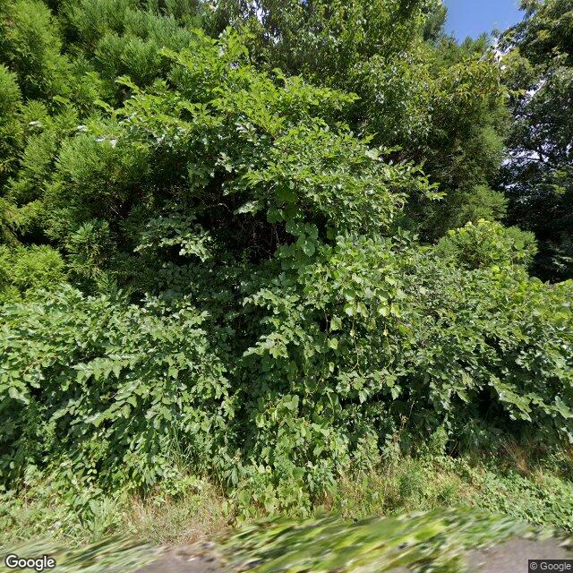 Otama Tamanoi, Fukushima