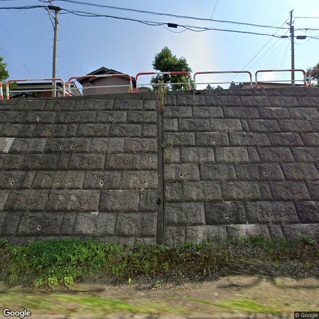 出没写真 1