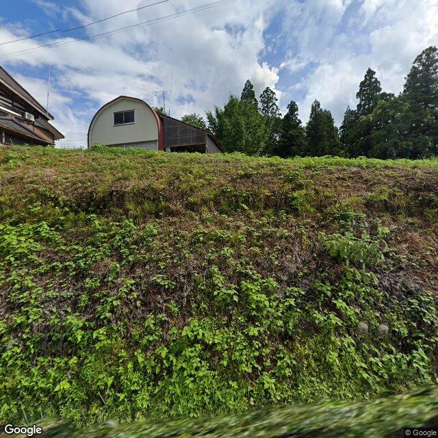 出没写真 1