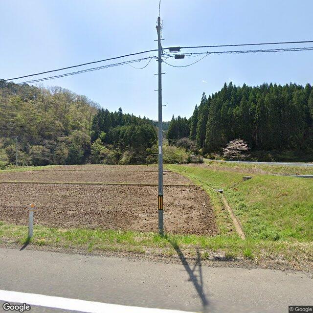出没写真 1