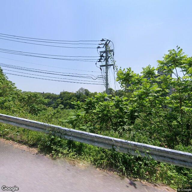 出没写真 1
