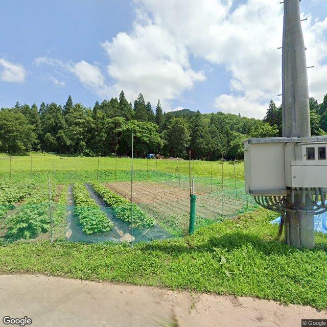 ภาพถ่ายการปรากฏตัว 1