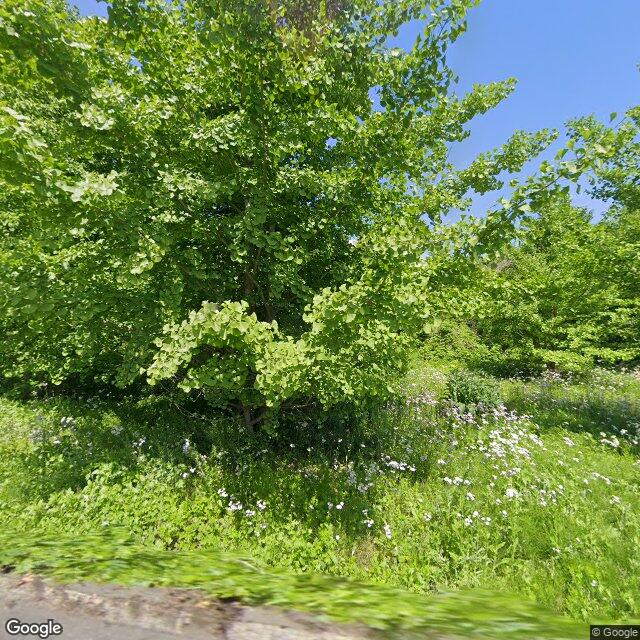 Morioka Isari-Omichi, Iwate