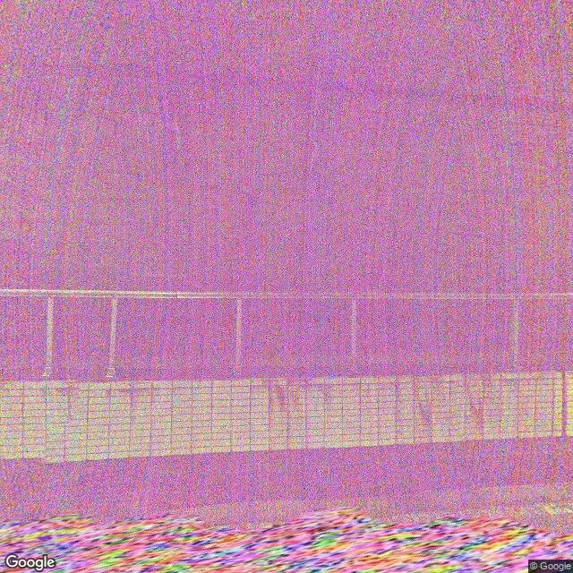 出沒照片 1